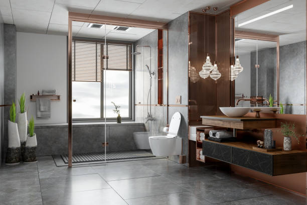 Luxurious Toilet